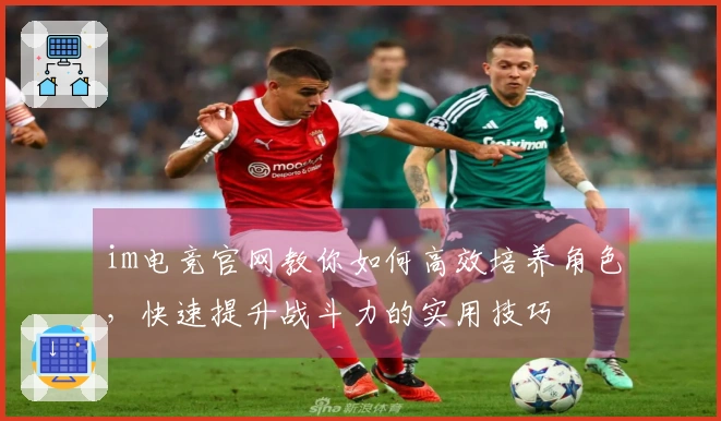 im电竞官网教你如何高效培养角色，快速提升战斗力的实用技巧