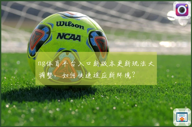 ng体育平台入口新版本更新玩法大调整，如何快速适应新环境？