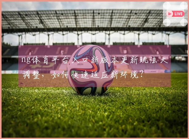ng体育平台入口新版本更新玩法大调整，如何快速适应新环境？