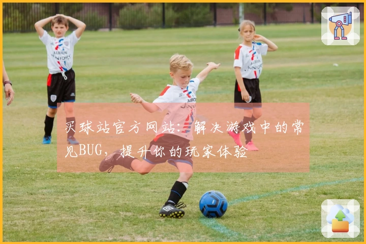 买球站官方网站：解决游戏中的常见BUG，提升你的玩家体验