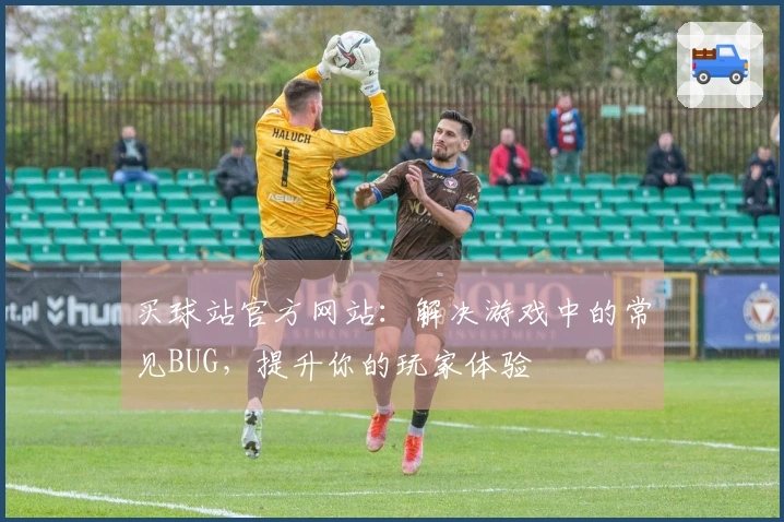 买球站官方网站：解决游戏中的常见BUG，提升你的玩家体验